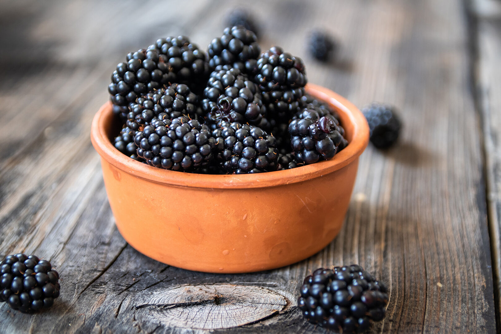 Brombeeren in der Schale | Credit: iStock.com/MilanMaksovic