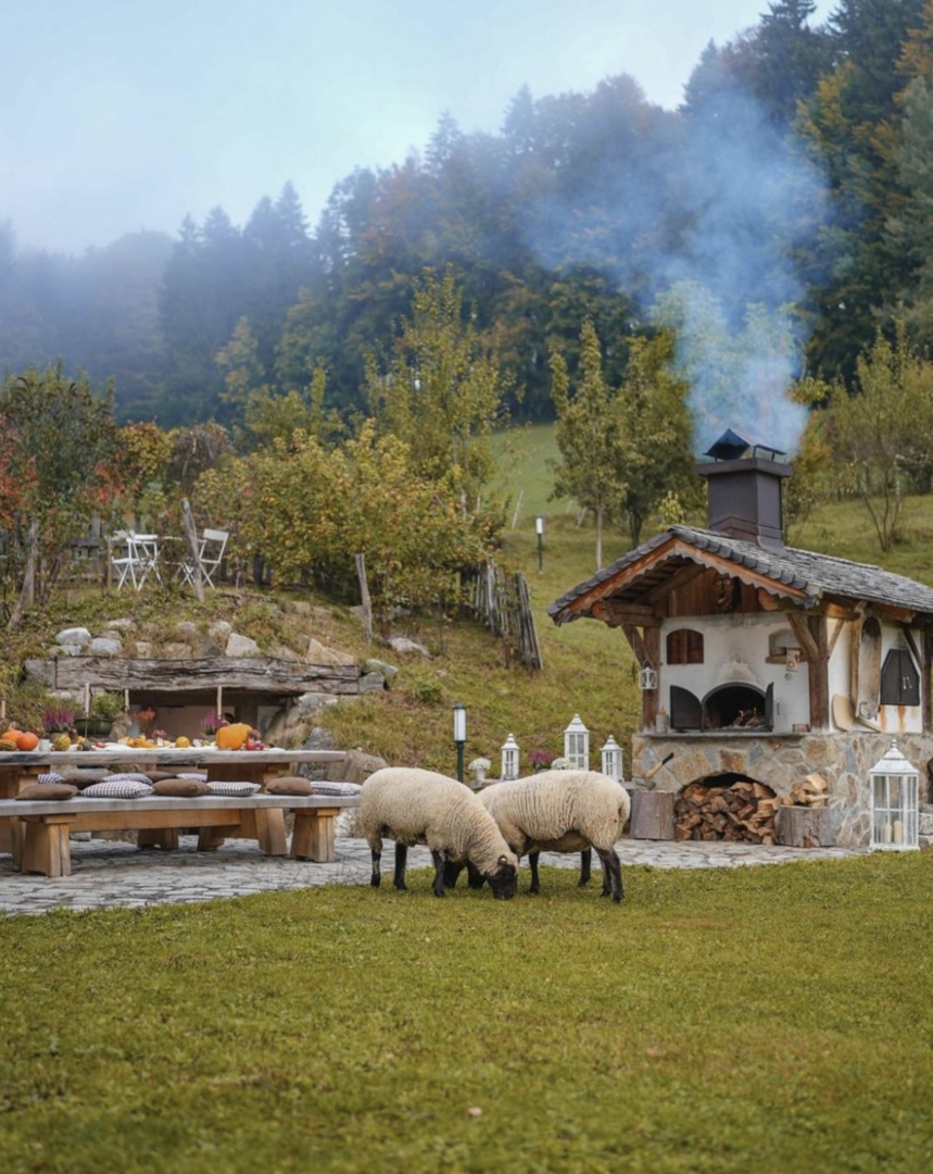 Pizzaofen mit Tisch und Schafen davor