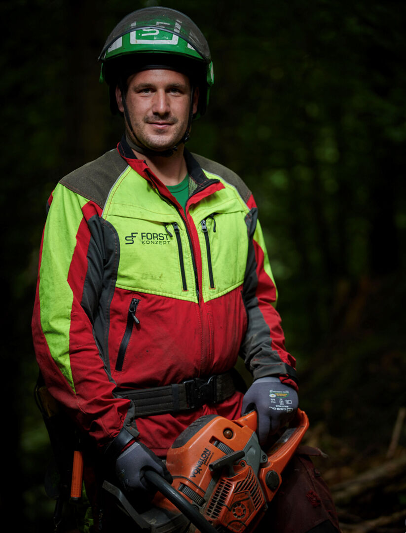 Sonderschau „Der Wald ruft!“: Eine Reise durch die Geschichte des Waldes.