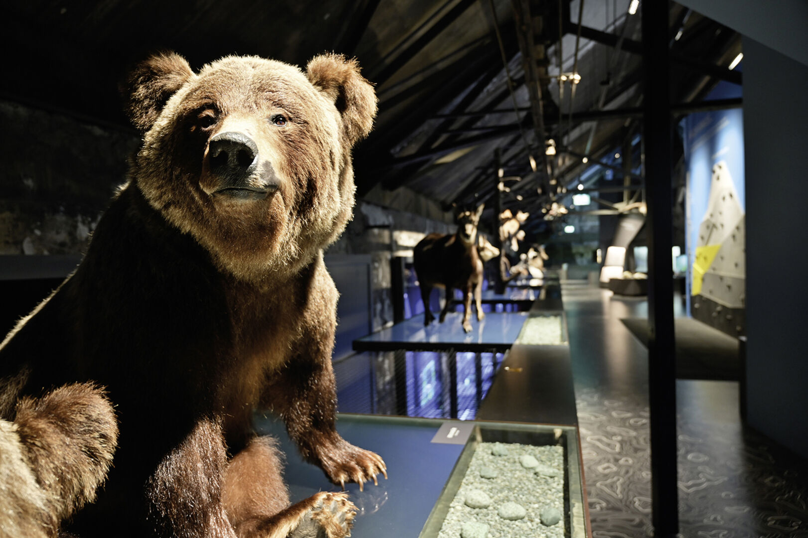 In der inatura dürfen Exponate angefasst werden, sollten jedoch respektvoll behandelt werden.