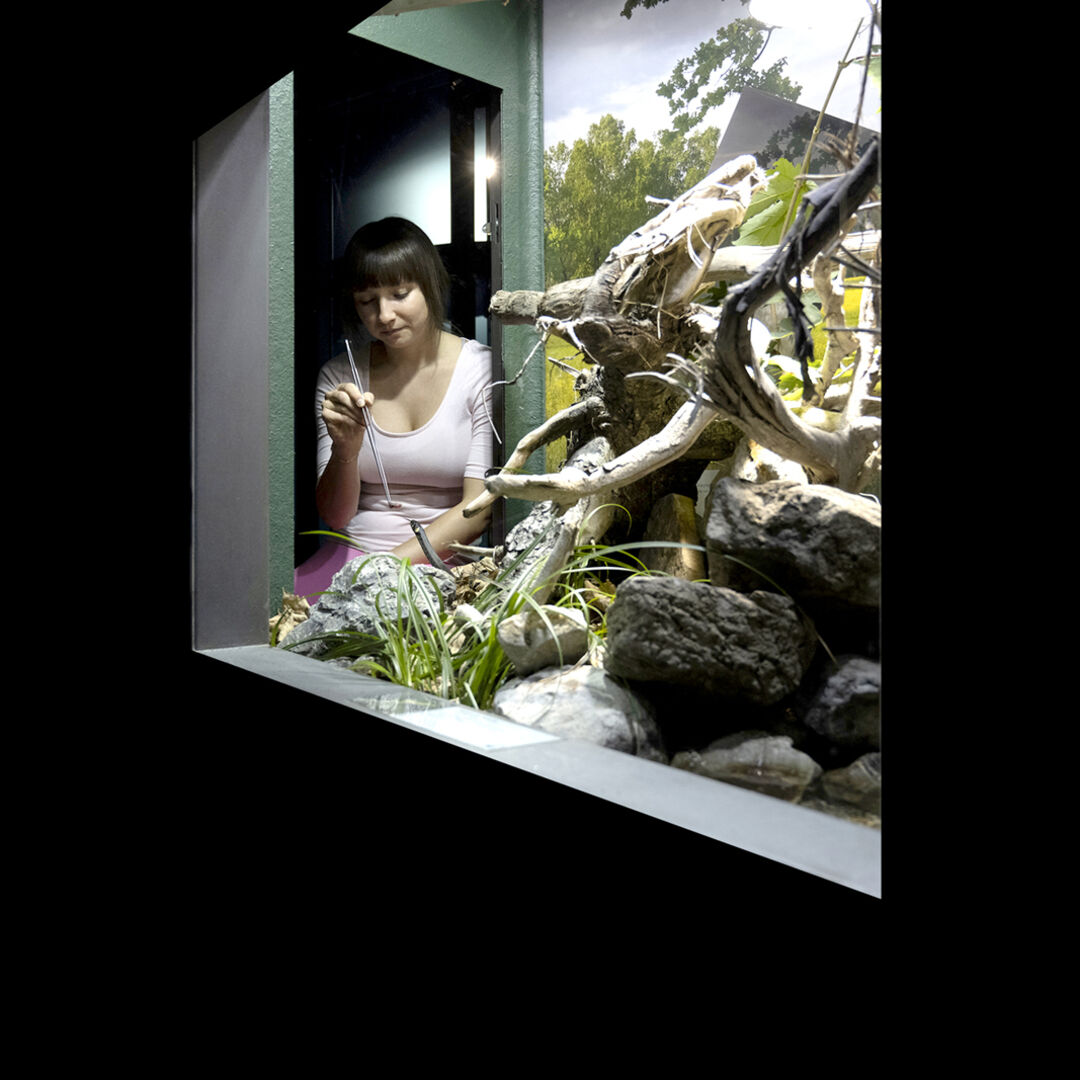 Amphibien und Reptilien werden seit Jahren erfolgreich überwintert.