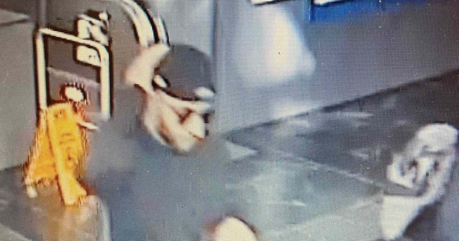 Ein Mann mit schwarzer Kappe, dunklem Pullover und Sonnenbrille.