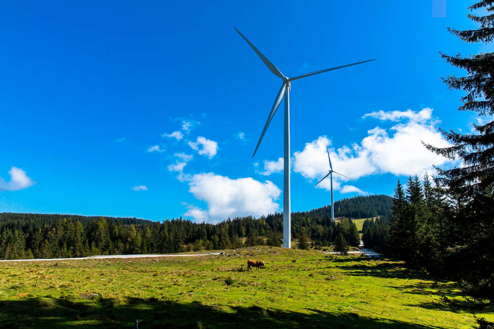 Windrad auf der Freiländeralm.