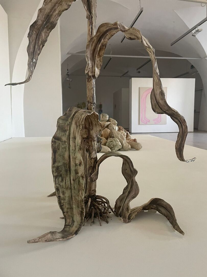 Das Siegewerk namens „Energiemaispflanzen&quot;.