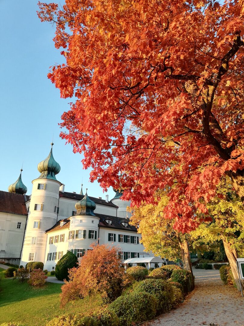 Schloss Artstetten