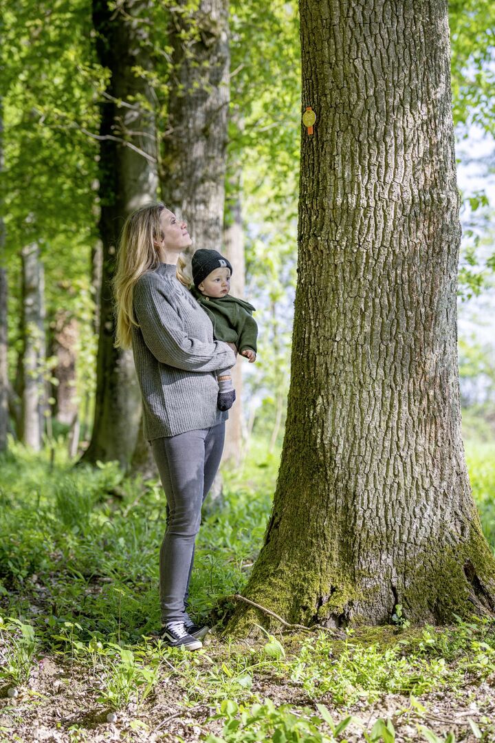 Frau mit Kind vor Grabbaum, Waldfriedhof