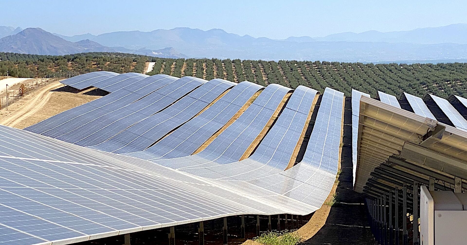 Photovoltaik-Anlage vor Olivenhainen | Credit: weekend Magazin