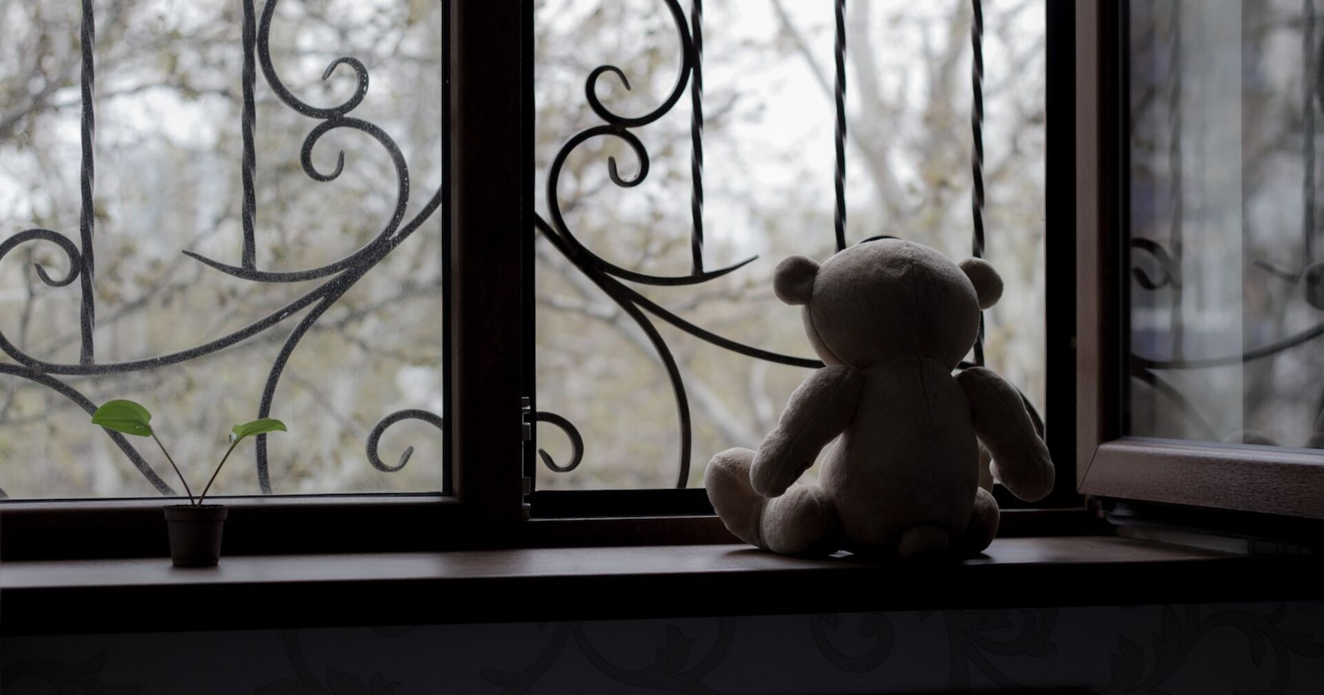 Ein einsamer Teddybär sitzt vor einem düsteren Fenster.