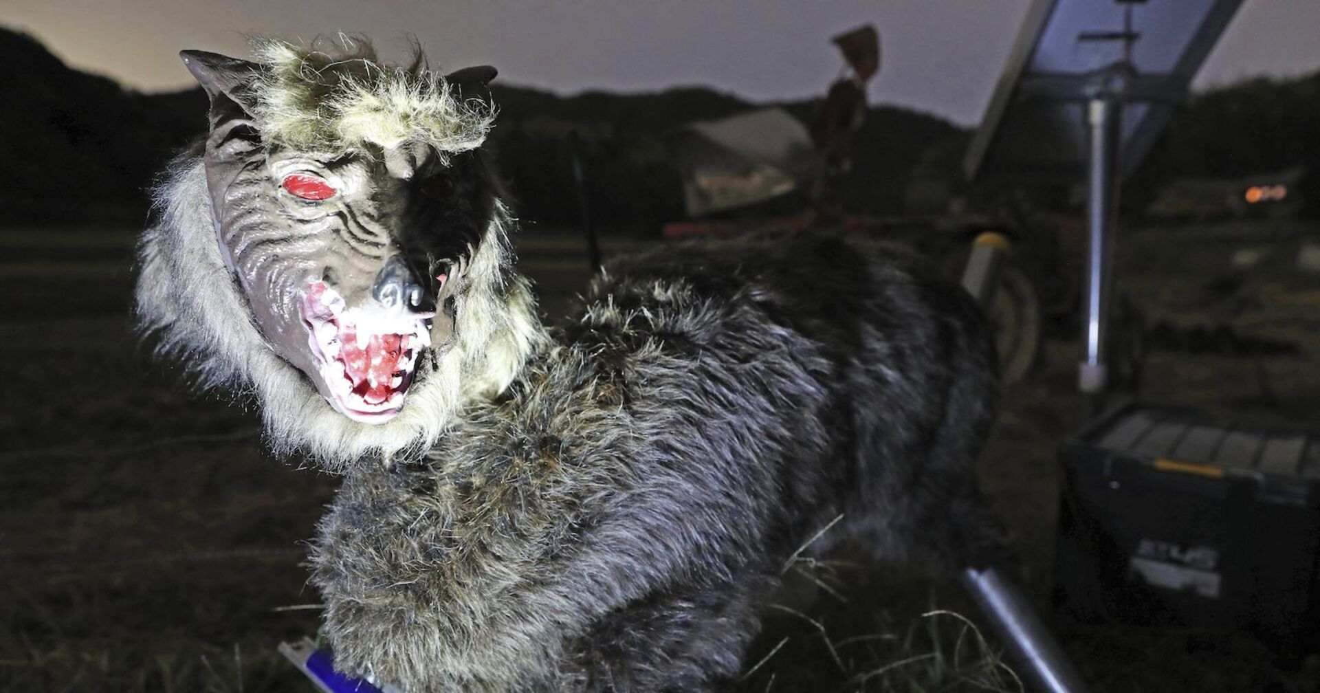 Der Roboter-Wolf im nächtlichen Einsatz.