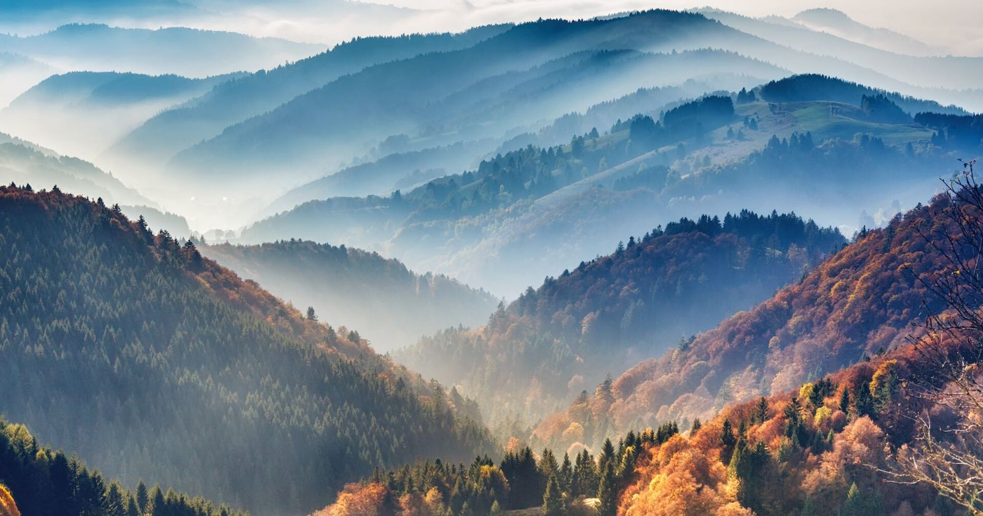 Nebel und Sonnenschein über Berge und Wälder