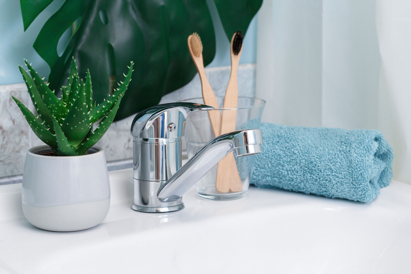 Aloe Vera im Badezimmer | Credit: iStock.com/Inna Fetjukova