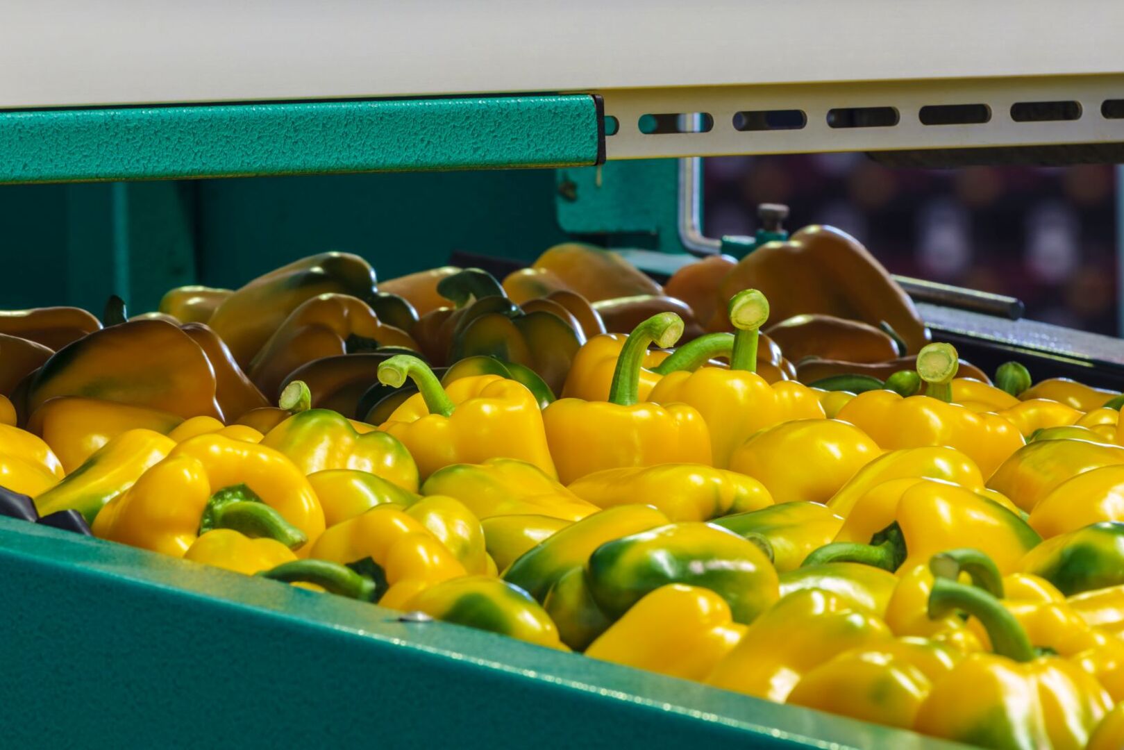 Ein Kiste mit gelben Paprika