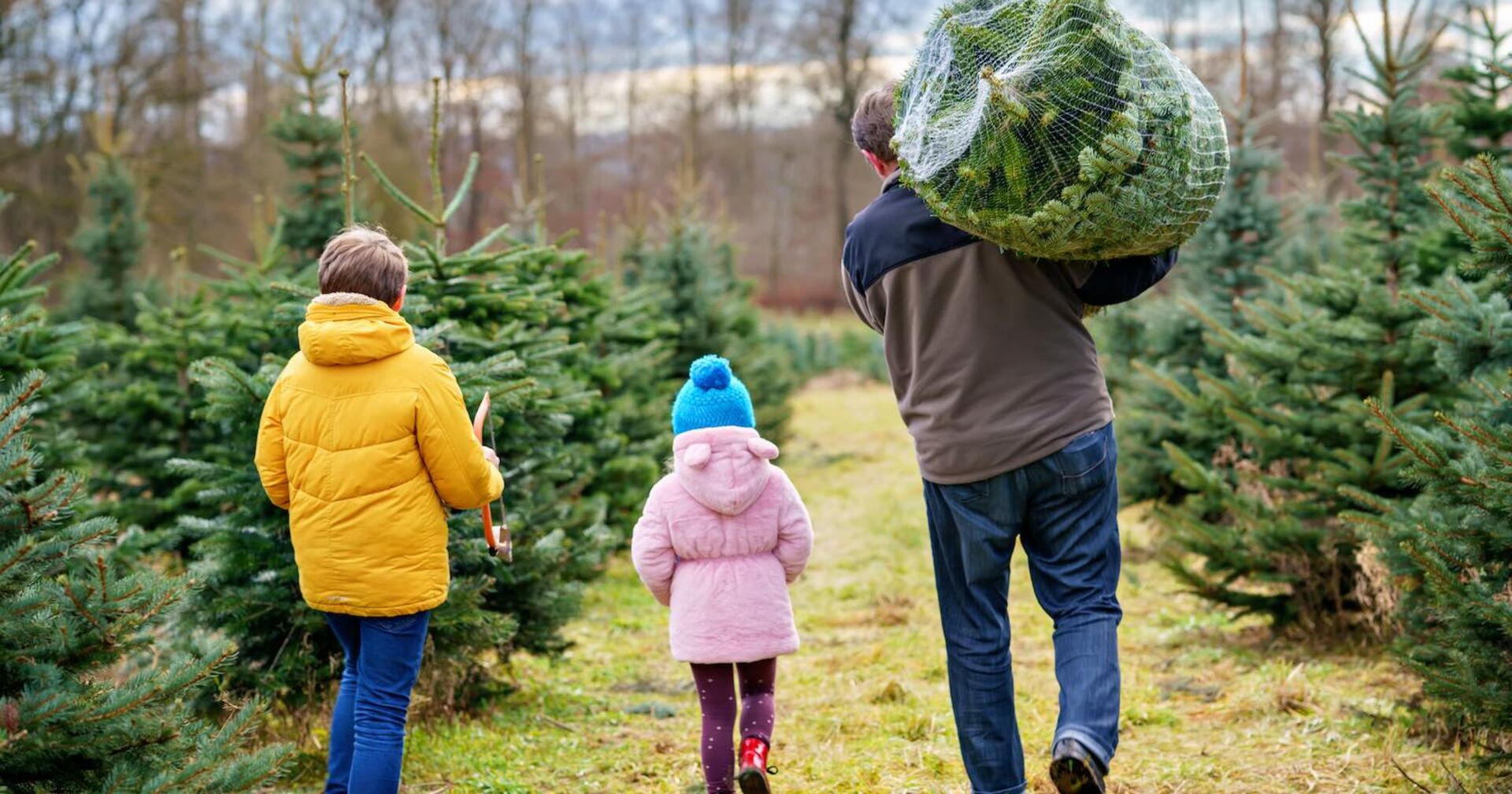 Ein Vater kauft mit zwei Kindern einen Christbaum.