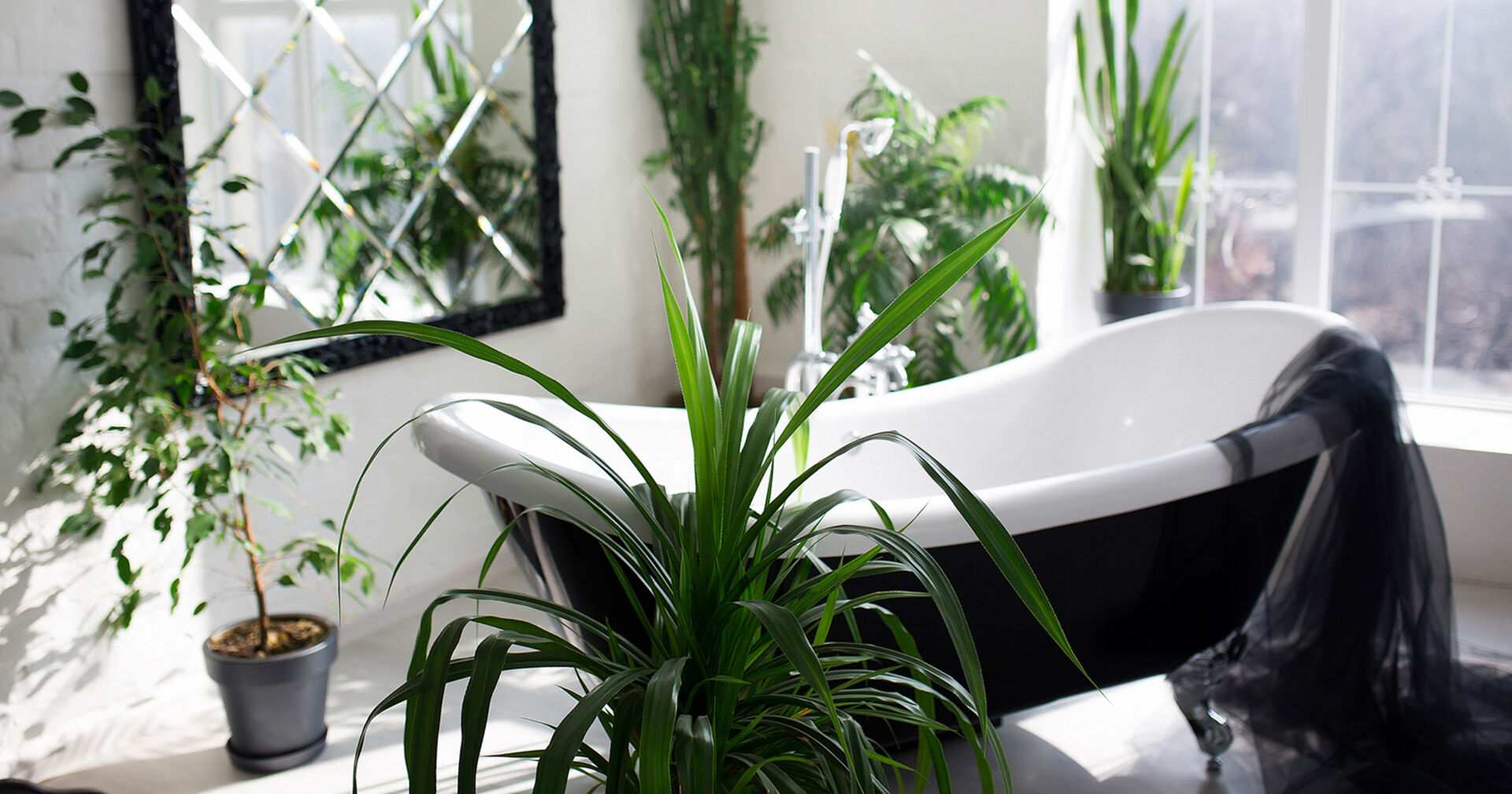 Badezimmer mir Pflanzen | Credit: iStock.com/sergiophoto84