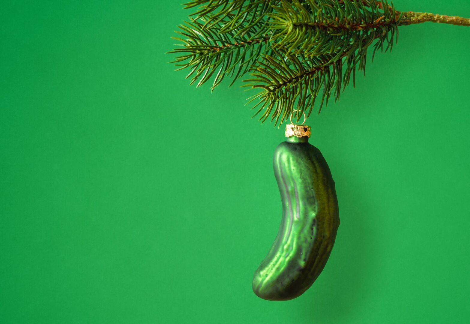 Eine Weihnachtsgurke hängt an einem Zweig.