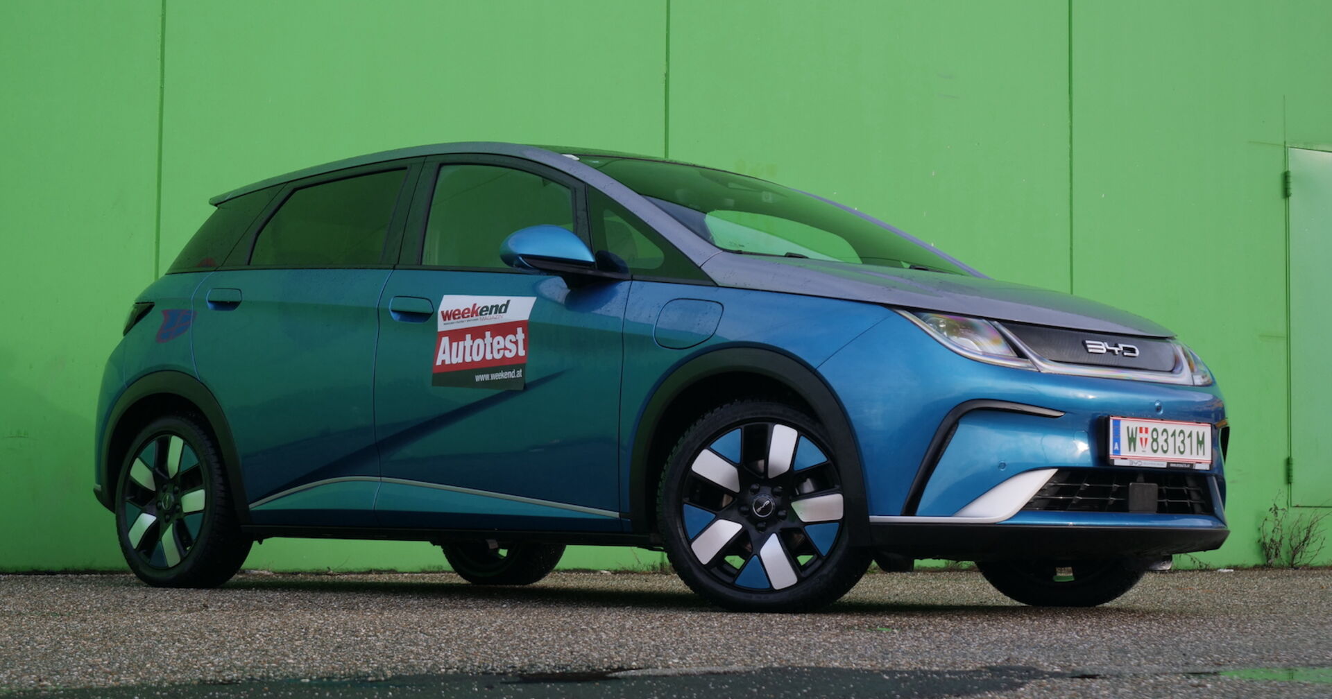Ein blauer BYD Dolphin vor einer grünen Wand