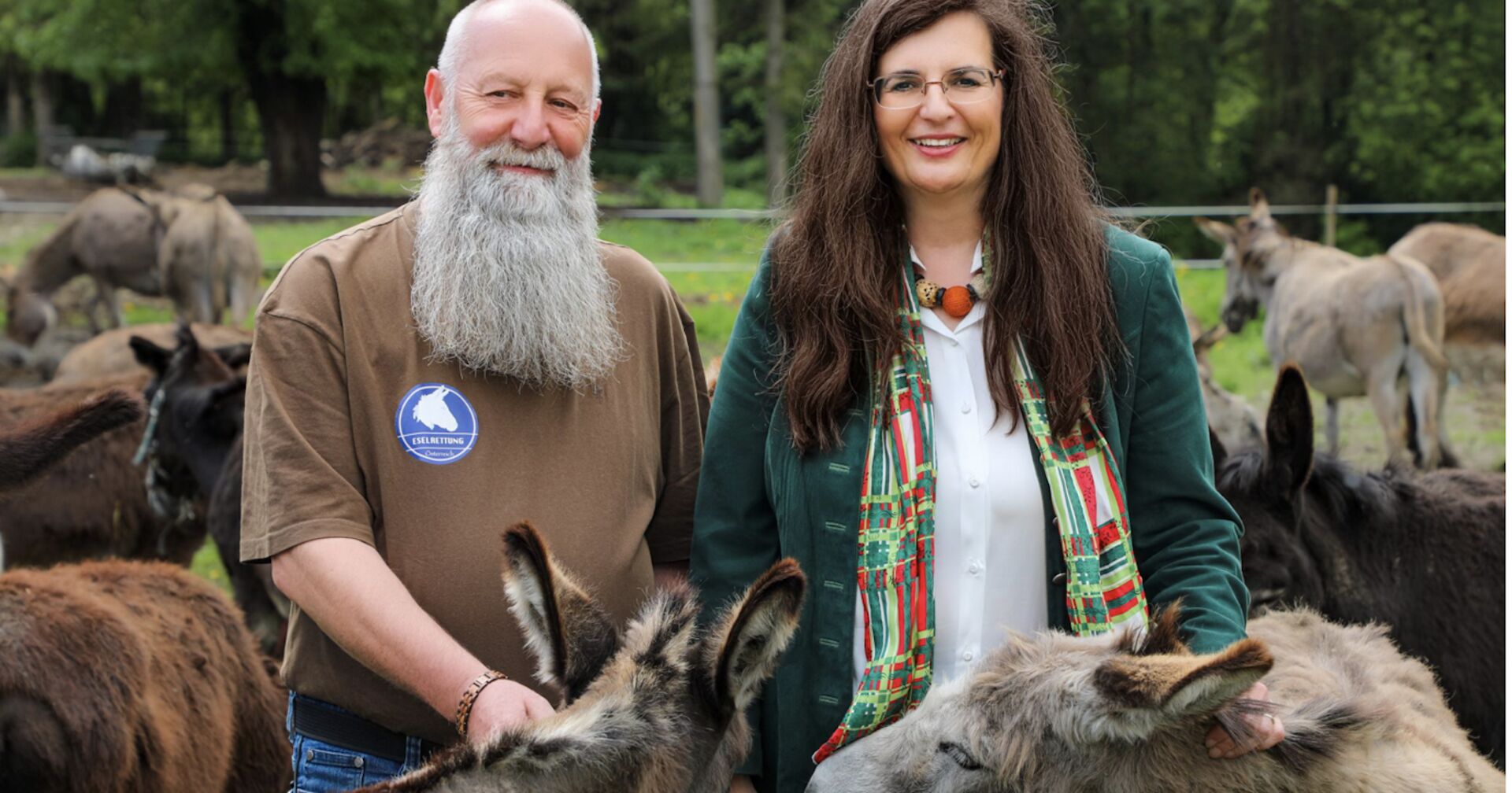 Porträt inmitten von Eseln