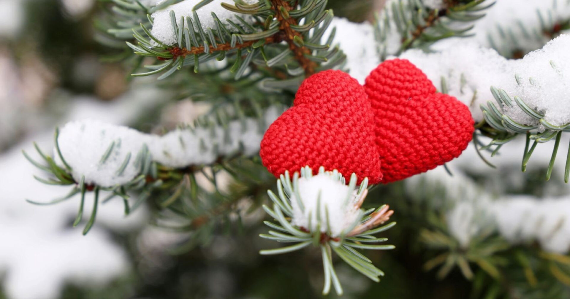 Zwei gehäkelte Herzen auf einem verschneiten Tannenzweig.