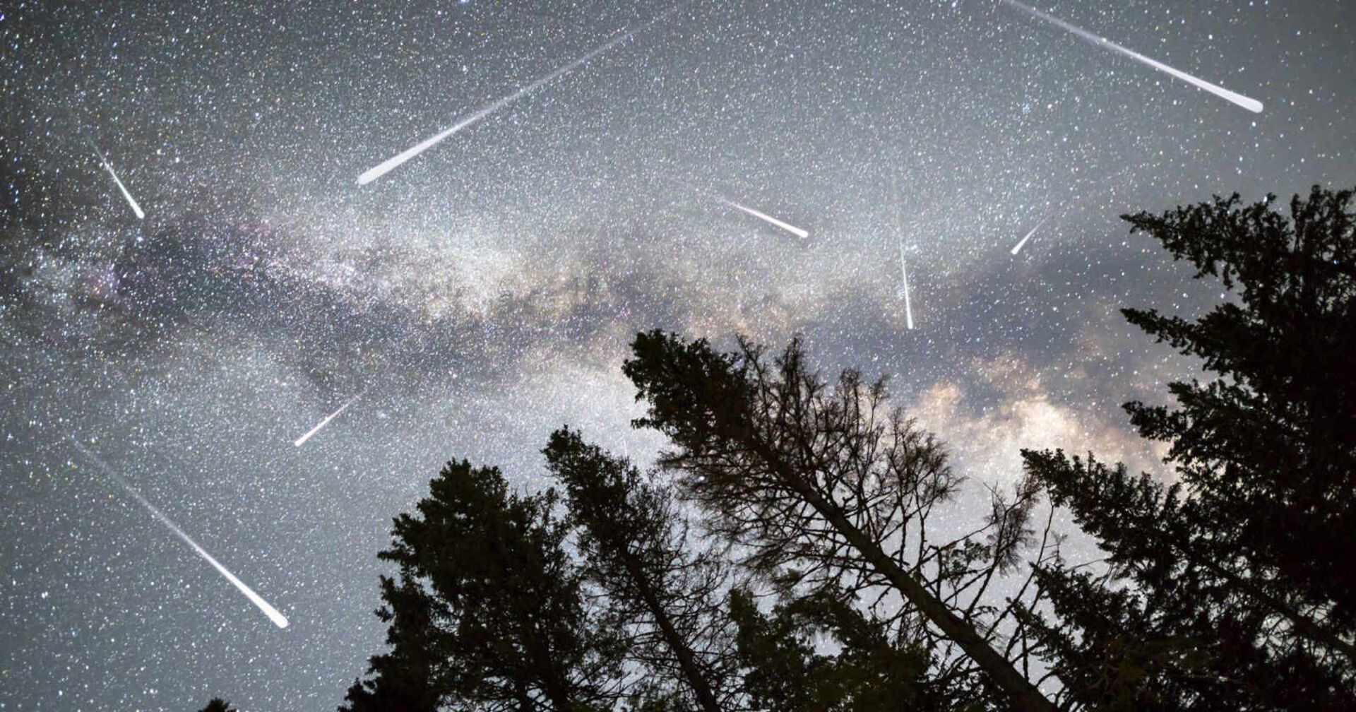 Viele Sternschnuppen über einem Wald.