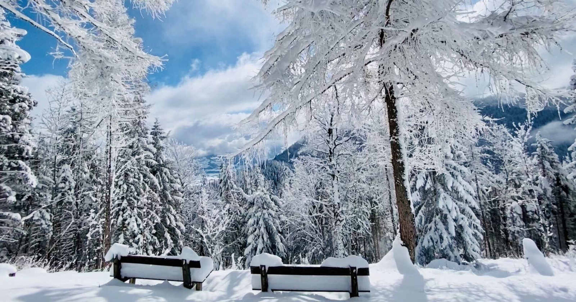 Verschneite Winterlandschaft bei blauen Himmel