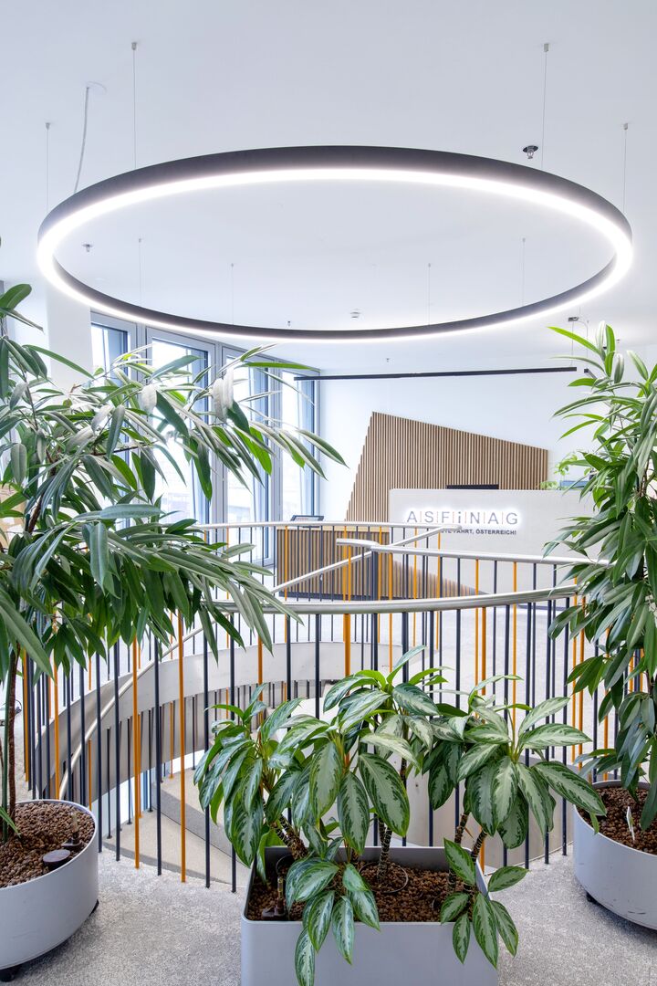 Büro-Stiegenaufgang mit vielen Pflanzen | Julia Grandegger