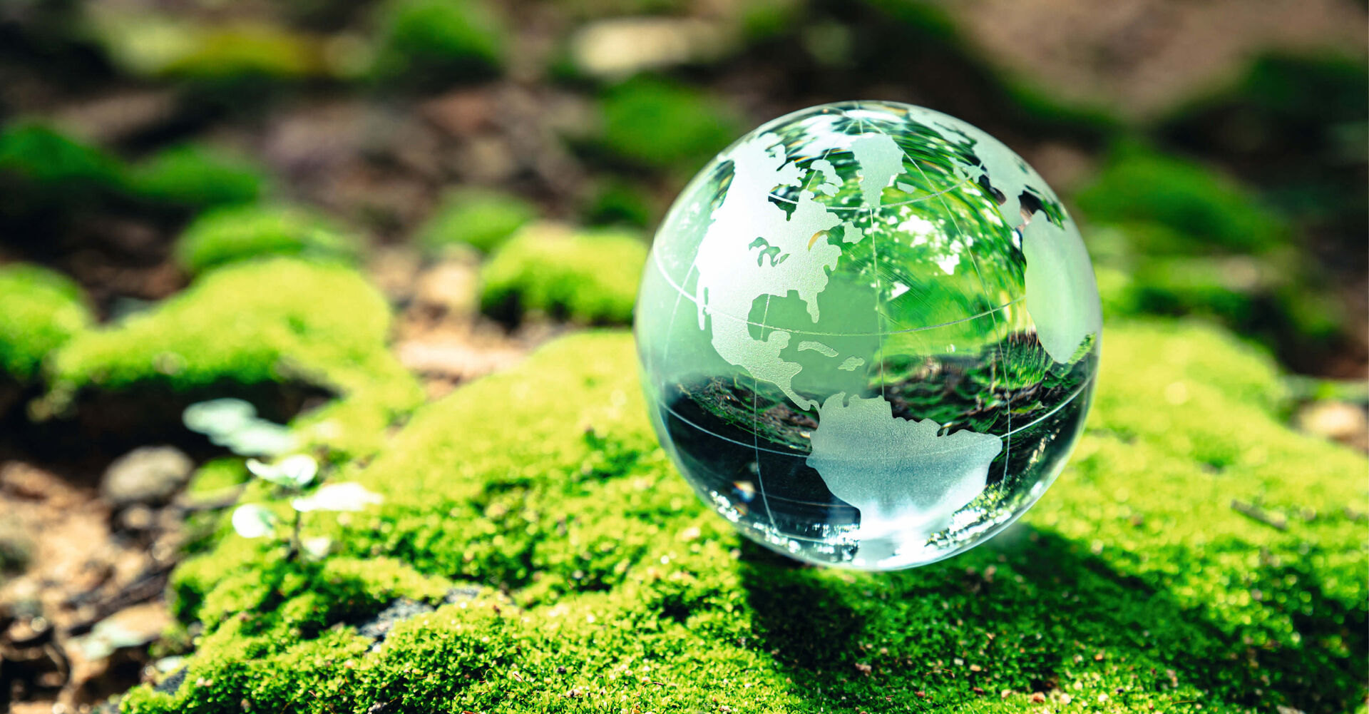 Gläserne Erde
