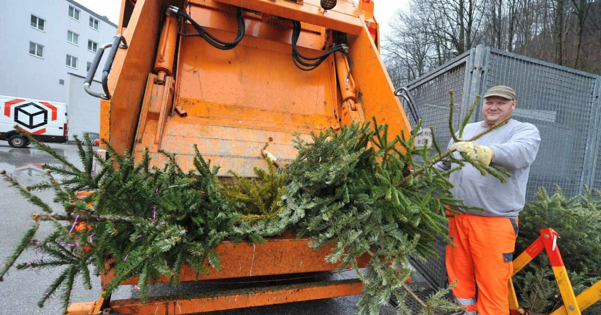Ausgedienter Christbaum wird in Müllauto von Müllabfuhrmitarbeiter entsorgt.