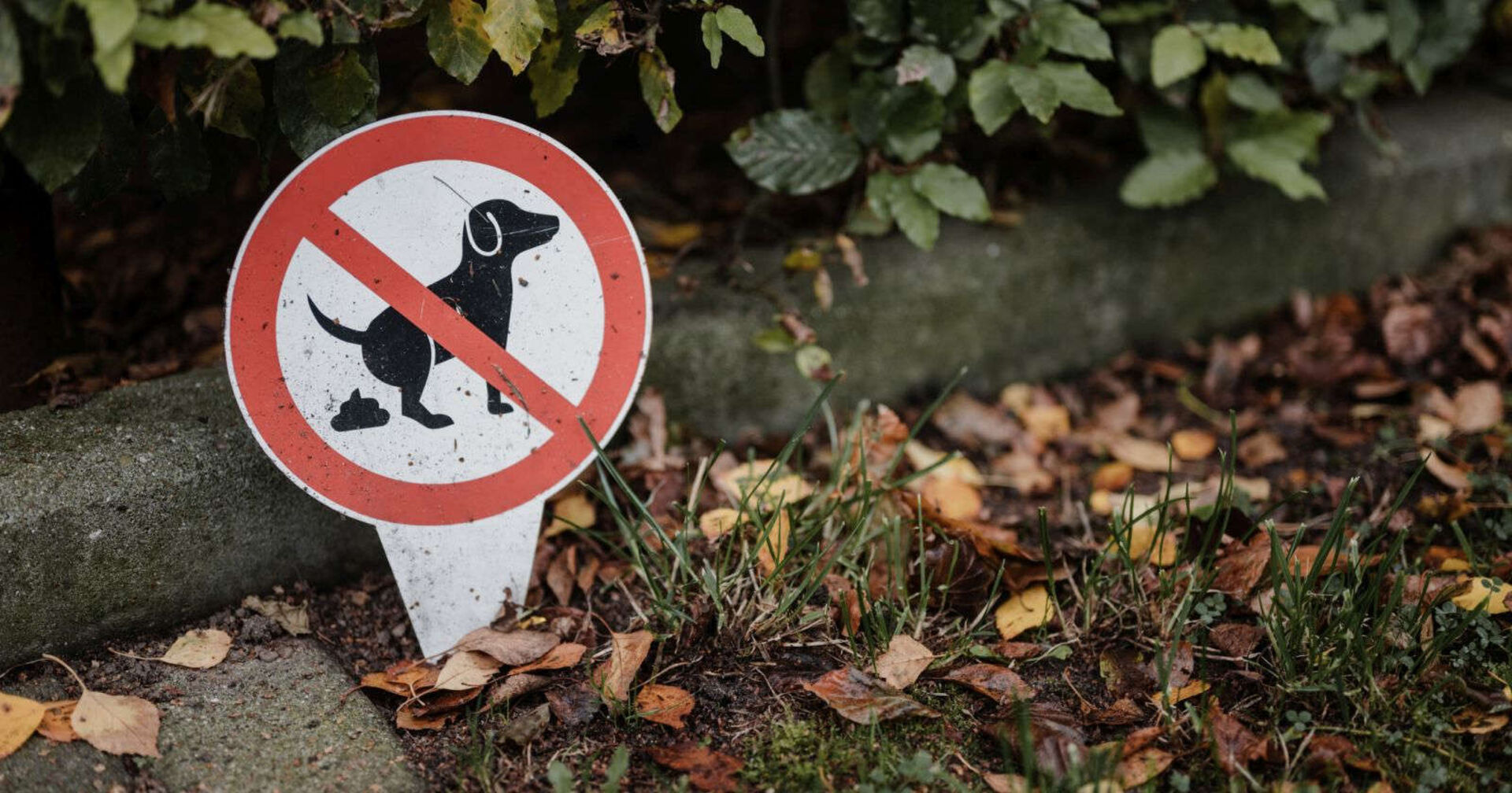 Verbotsschild für Hunde-Häufchen