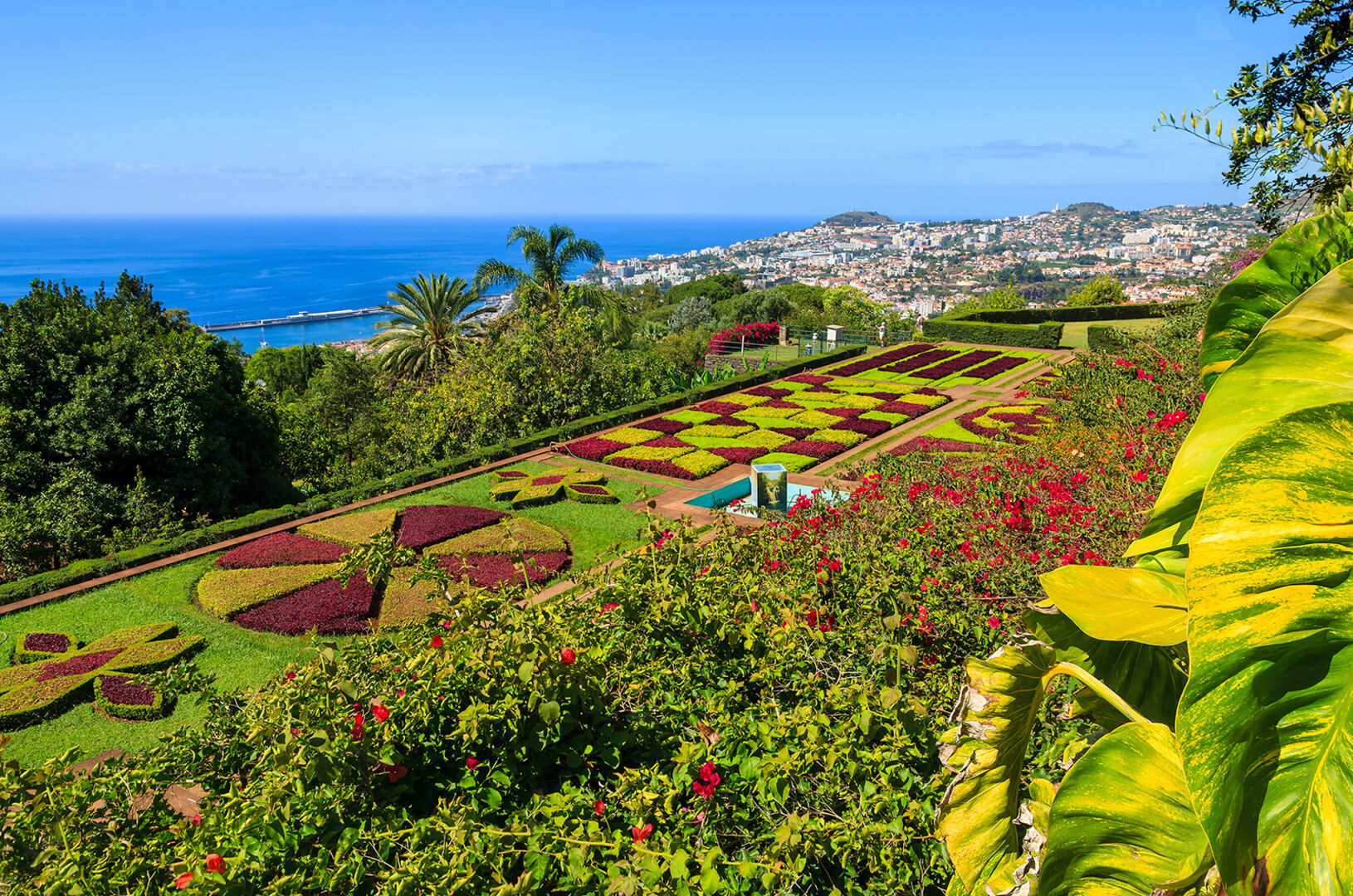 Gärten von Funchal | Credit: iStock.com/pkazmierczak
