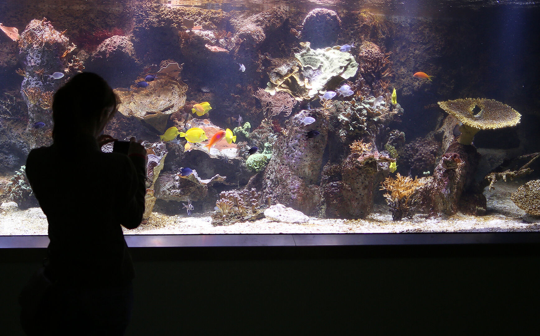 Besucher im Haus des Meeres in Wien | Credit:  GEORG HOCHMUTH / APA / picturedesk.com