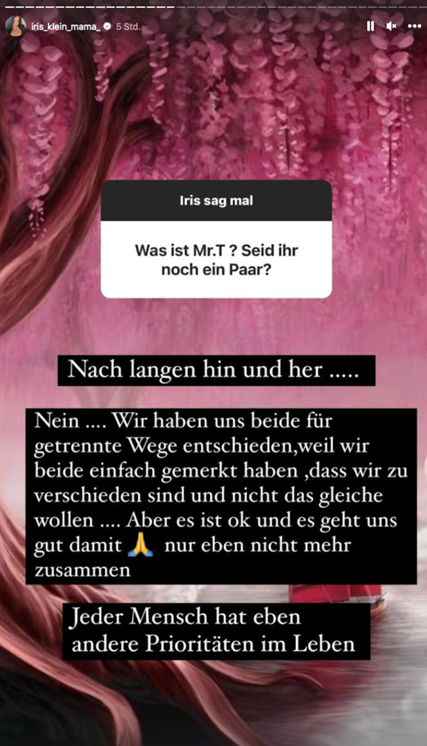 Screenshot von Iris Klein.