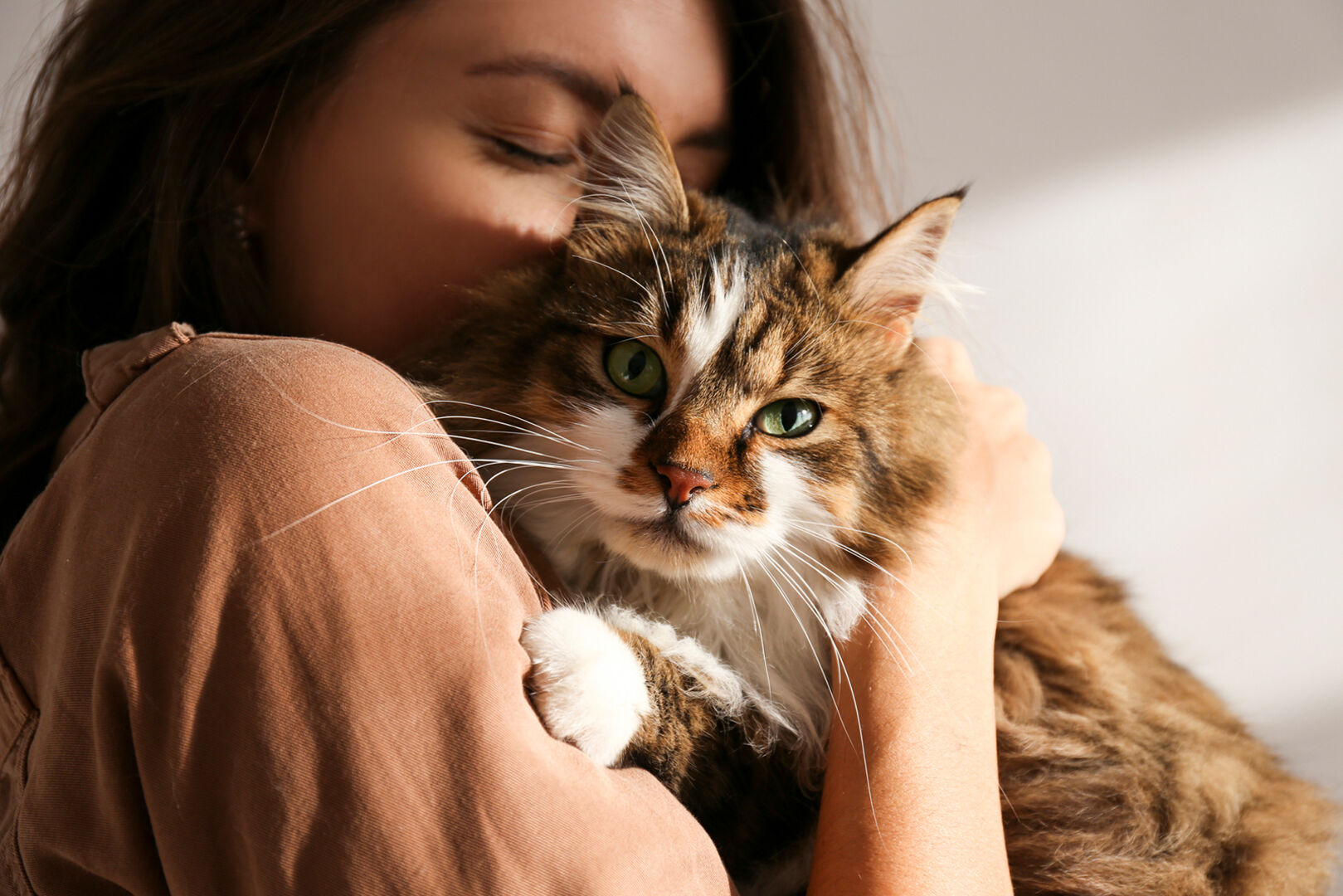 Frau hat Katze in der Hand | Credit: iStock.com/Evrymmnt