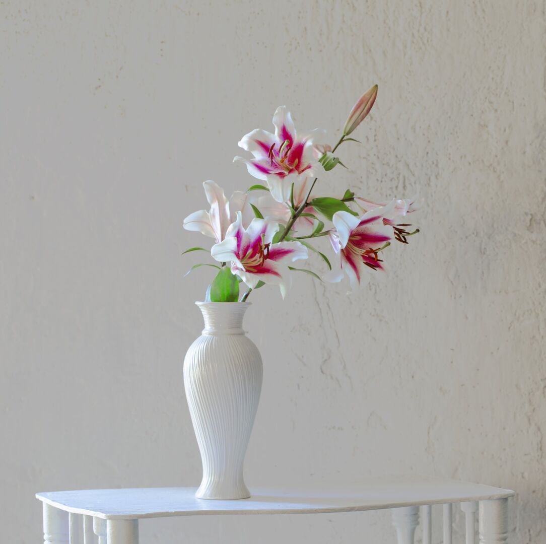 Lilien in einer Vase | Credit: iStock.com/Maya23K
