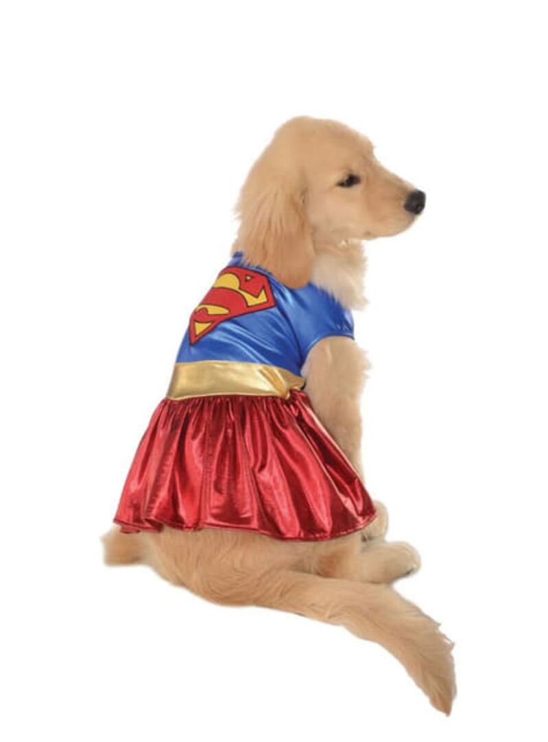 Hund im Superman-Kostüm