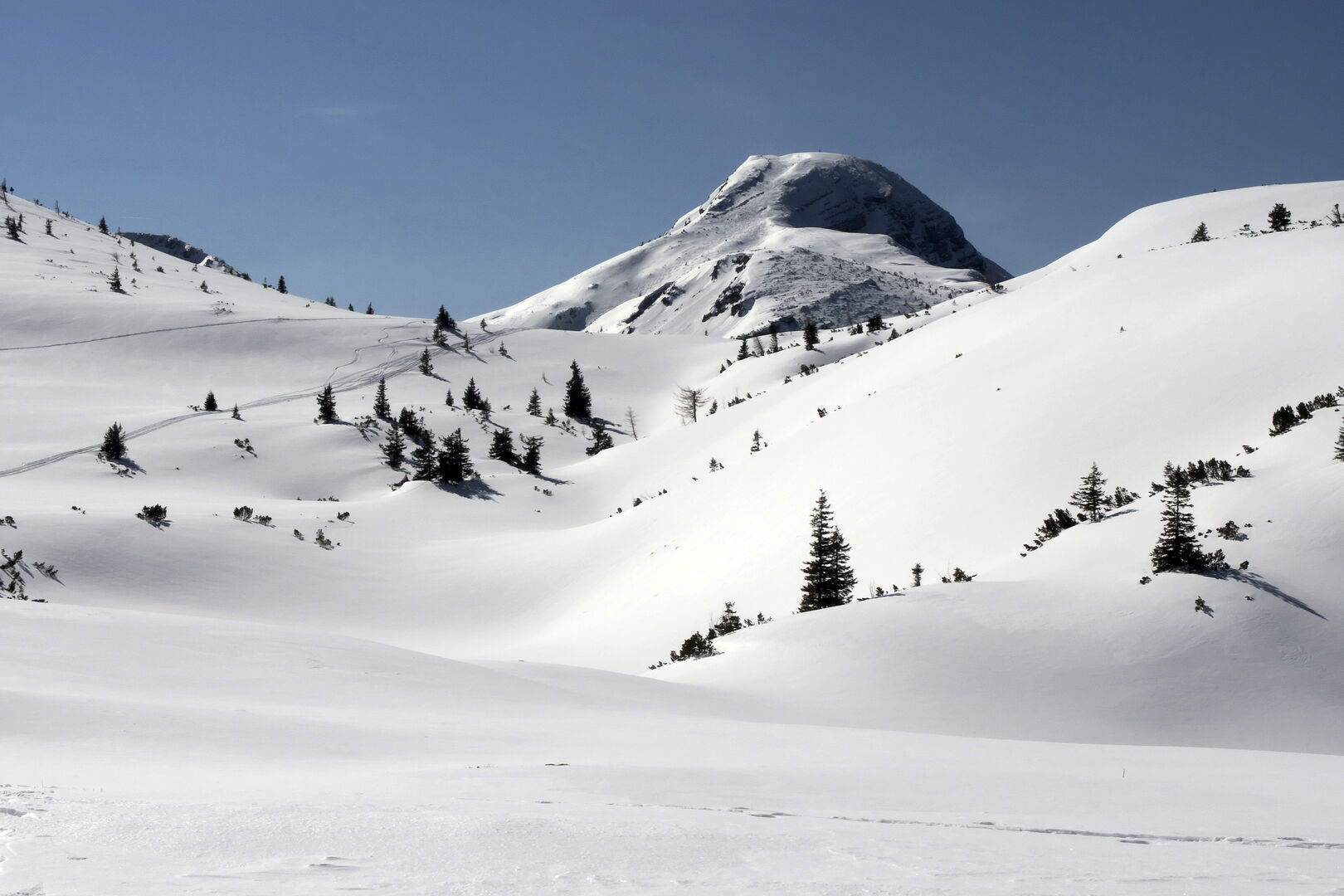 Ybbstaler Alpen | Credit:  Ernst Weingartner / Weingartner-Foto / picturedesk.com
