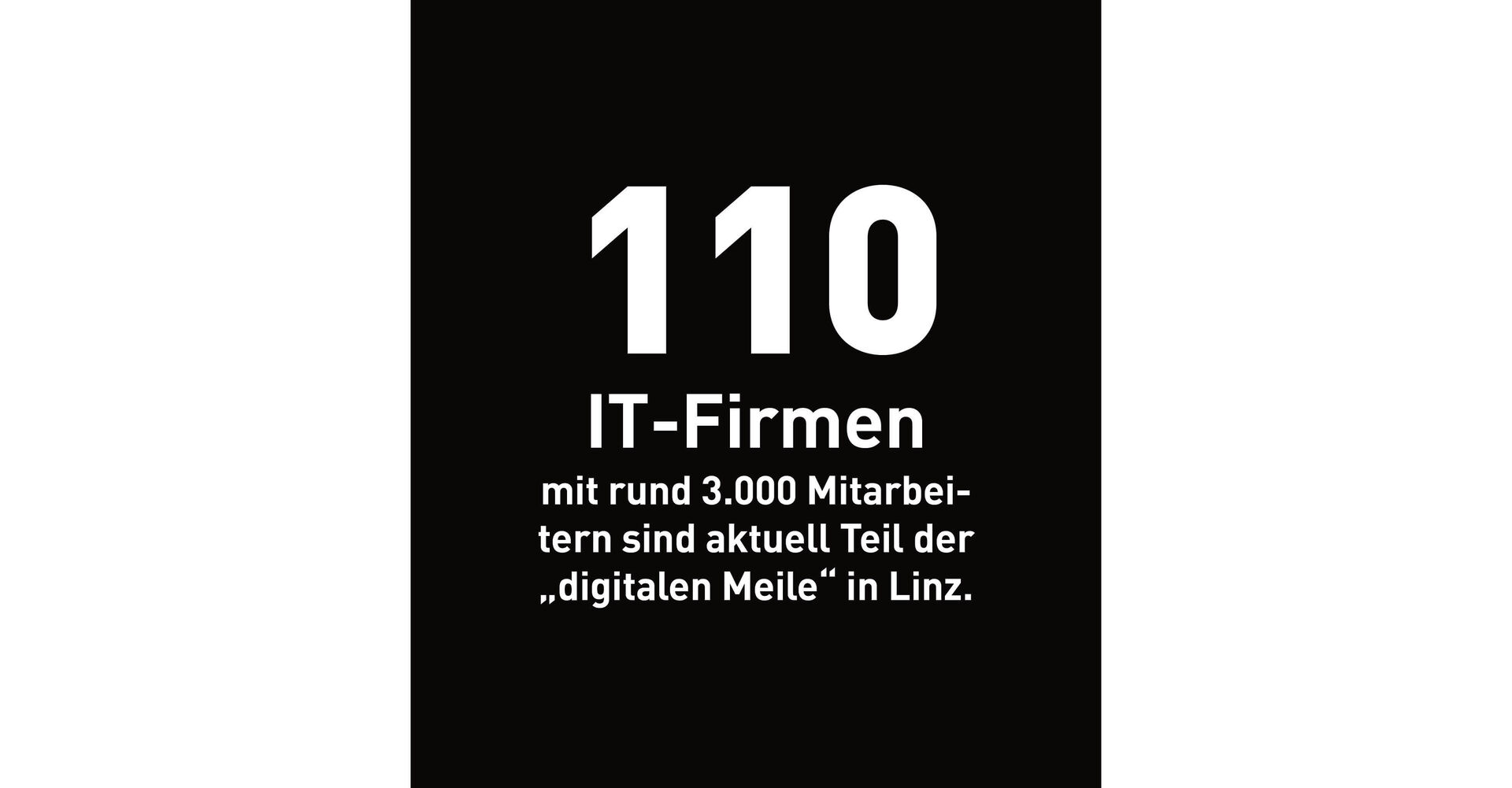 110 IT-Firmen