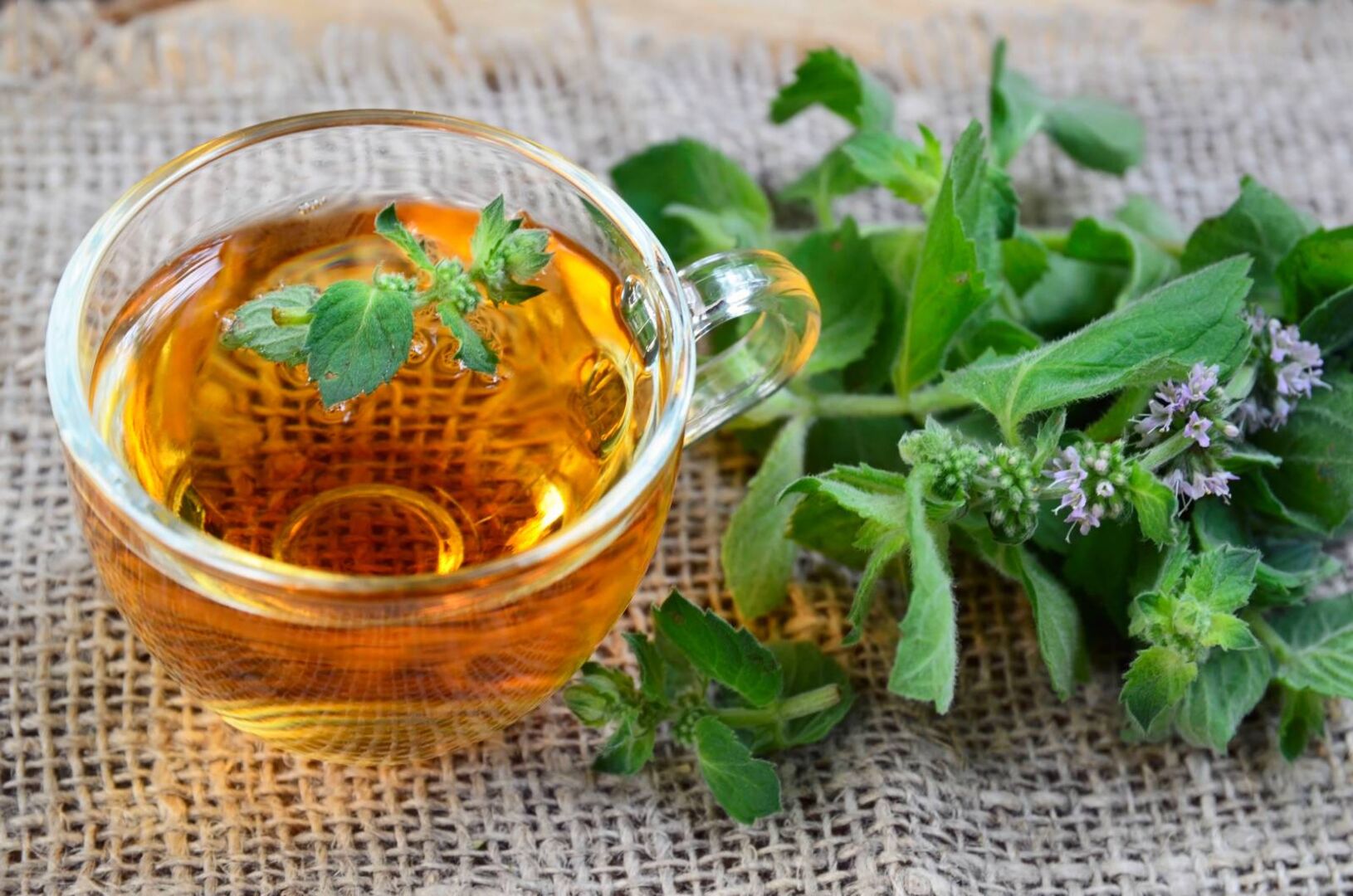 Tasse mit Pfefferminztee und frischen Kräutern