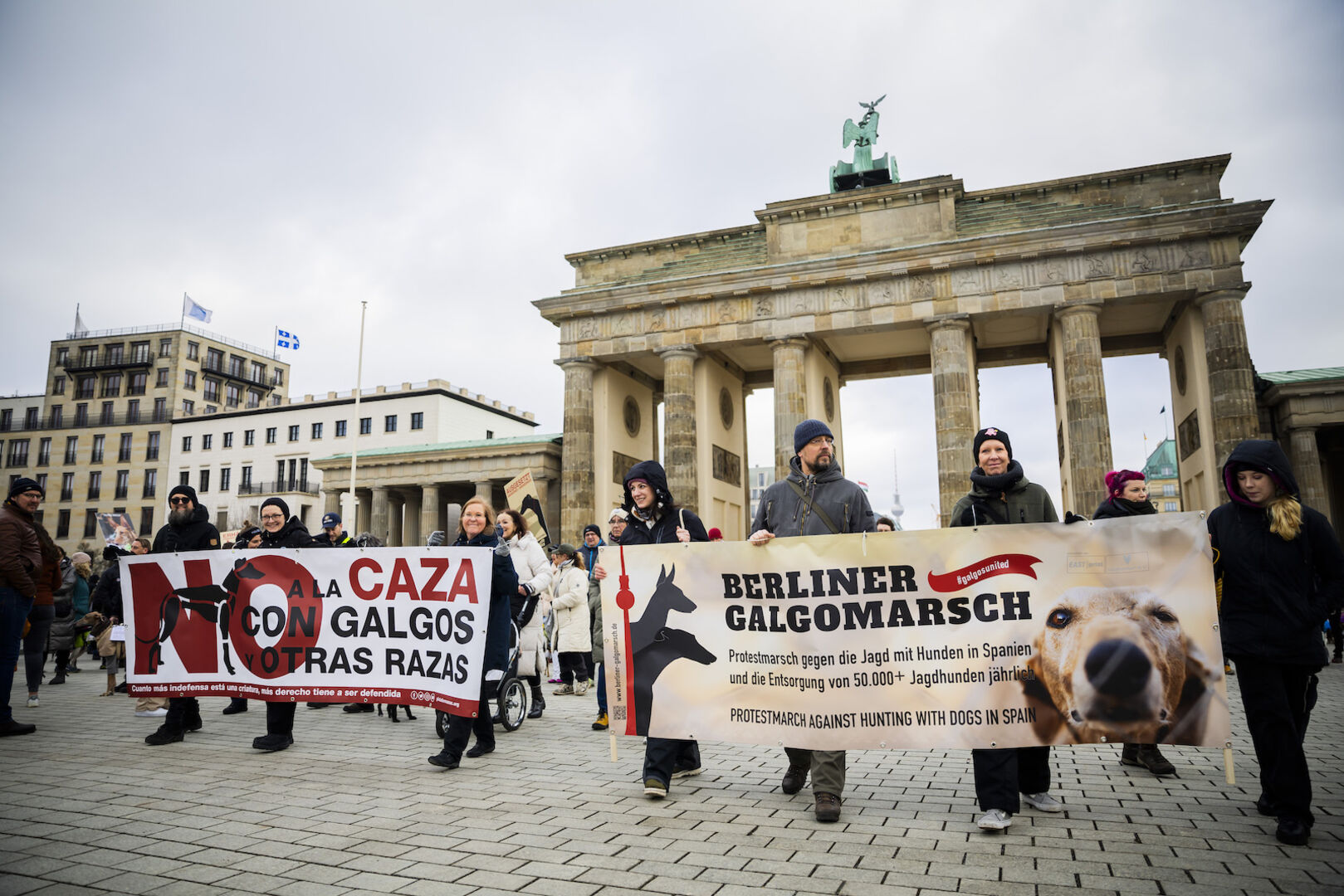 Eine Demonstration in Berlin gegen das Leid und die Misshandlung spanischer Windhunde.