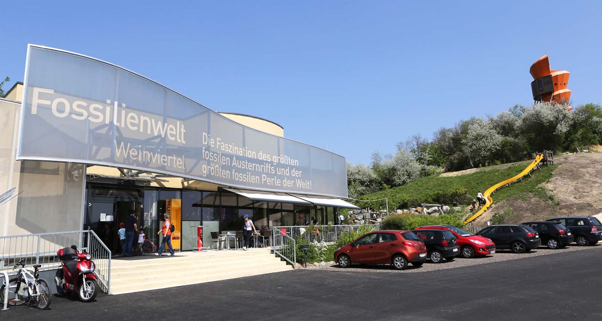 Fossilienwelt Weinviertel | Credit:  Ernst Weingartner / Weingartner-Foto / picturedesk.com