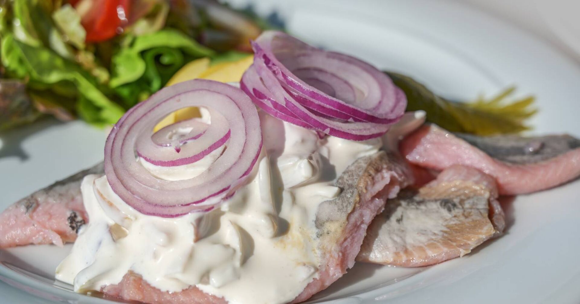 Heringsschmaus mit Äpfeln, Sauerrahm Gurken &amp; Zwiebeln, ein Traditionsgericht zu Aschmermittwoch auf weißem Teller.