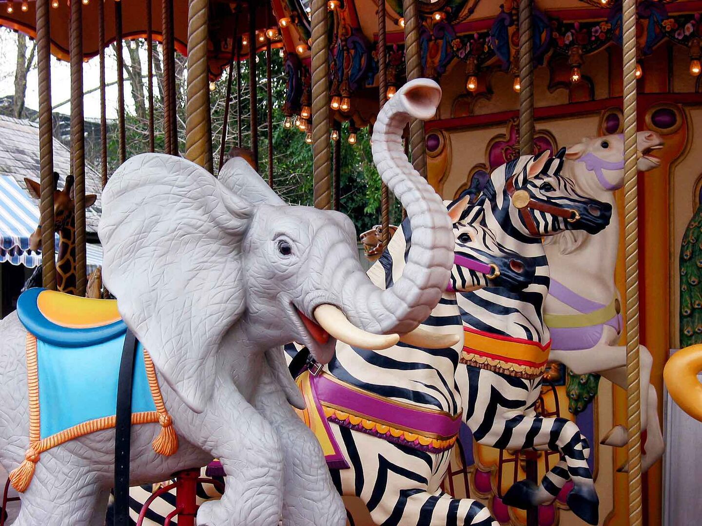 Ein Karussell mit einem Zebra und Elefanten.