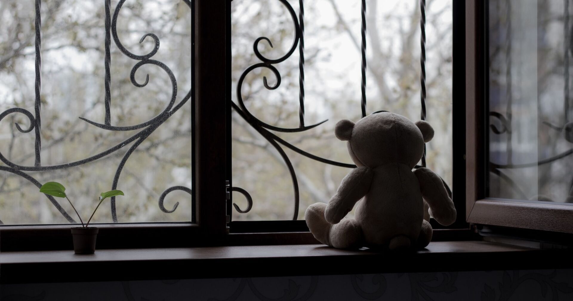 Ein einsamer Teddybär sitzt vor einem vergitterten Fenster.