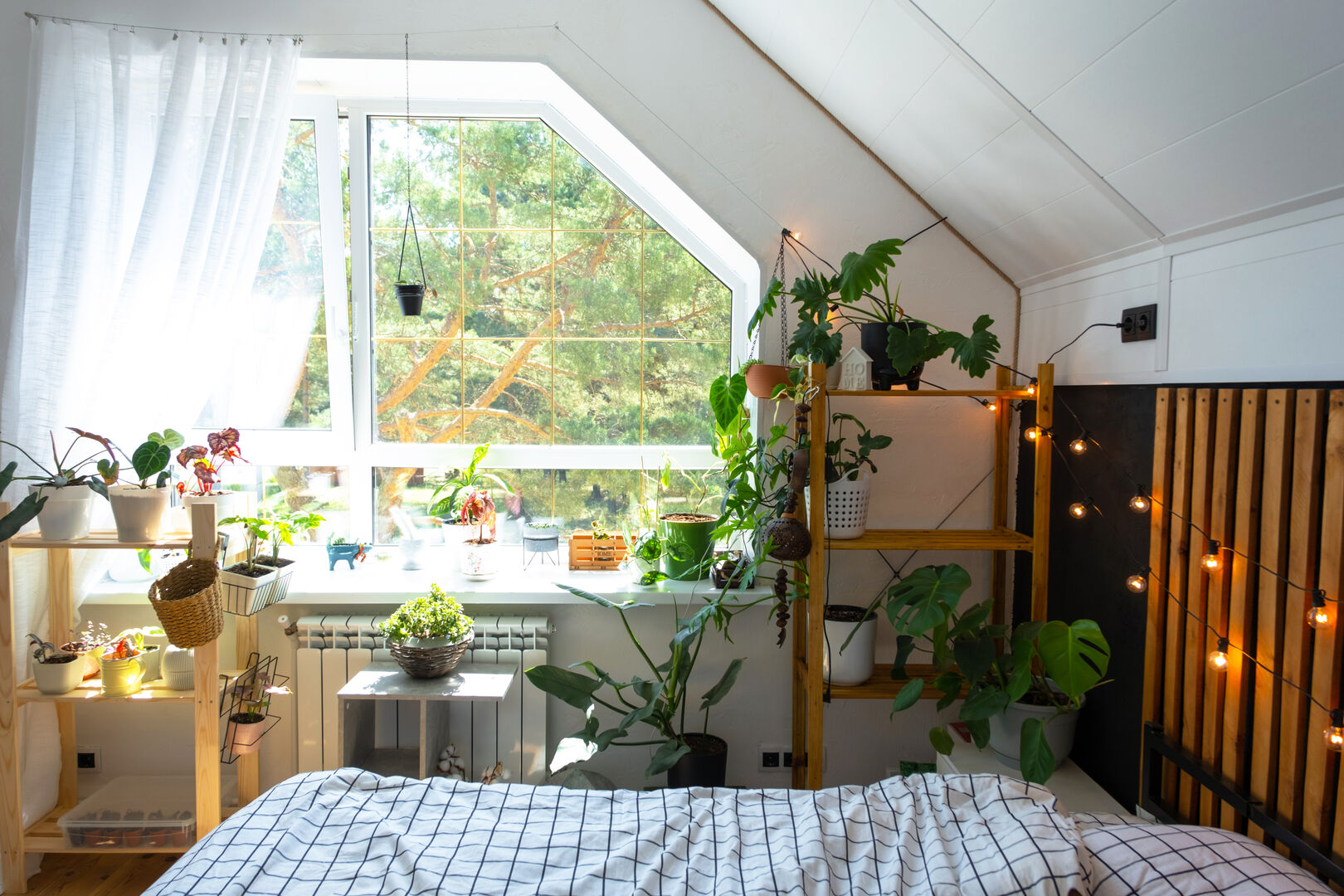 Pflegezimmer mit Pflanzen | Credit: iStock.com/Ольга Симонова