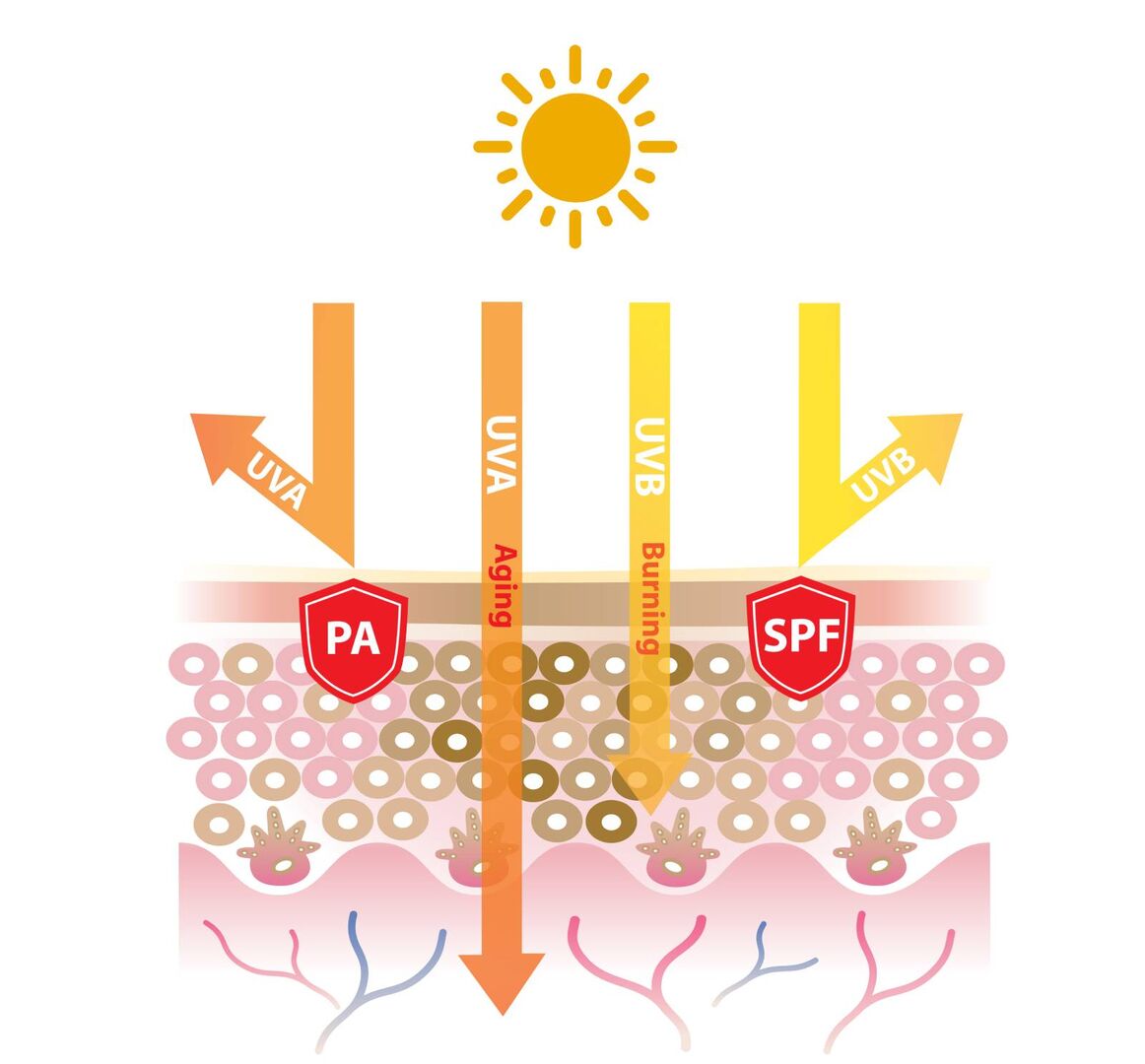 Illustration der unterschiedlichen Durchdringung der Haut mit UVA- und UVB-Strahlen