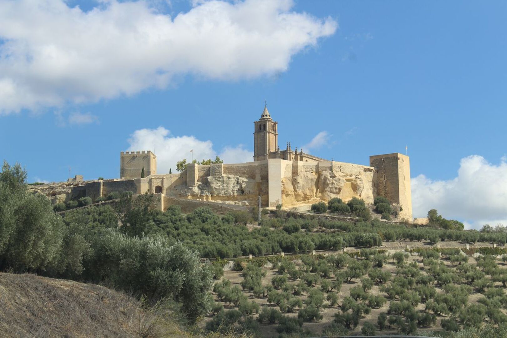 Andalusien: Eine Burg im Sonnenschein. Die alten, braune Mauern sind noch gut erhalten. Am Fuße der Burg sind zahlreiche Olivenbäume zu sehen.