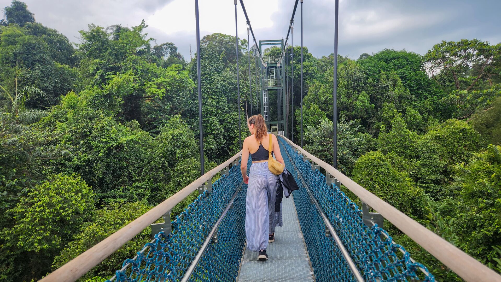Eine Hängebrücke in Singapurs Dschungel