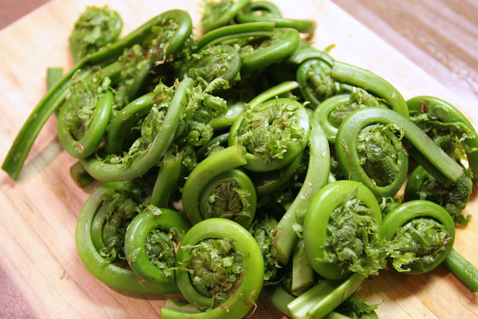 Fiddleheads | Credit: iStock.com/MarcQuebec
