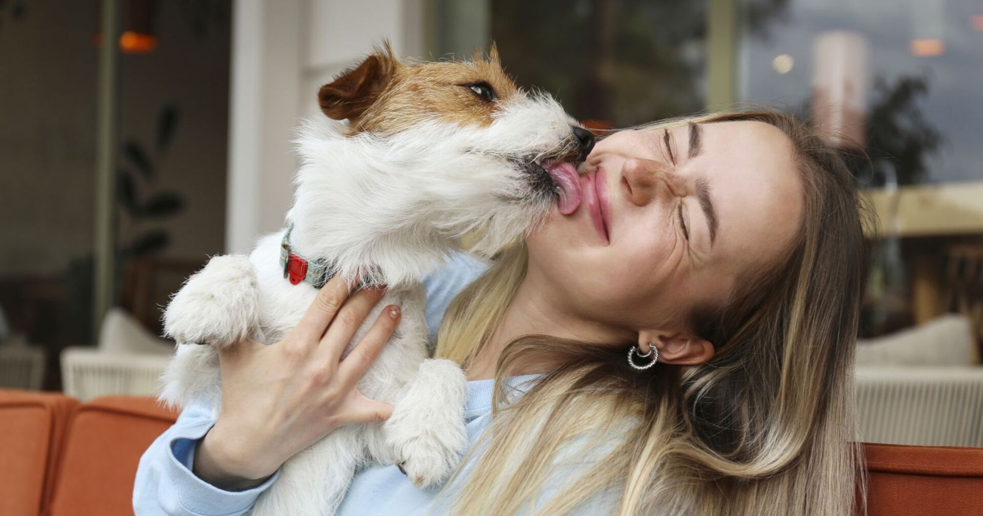 Ein kleiner Hund schlecht eine Frau ab.