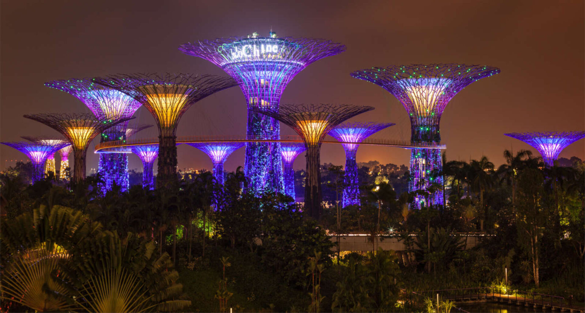 Die beleuchteten Gardens by the Bay in Singapur.