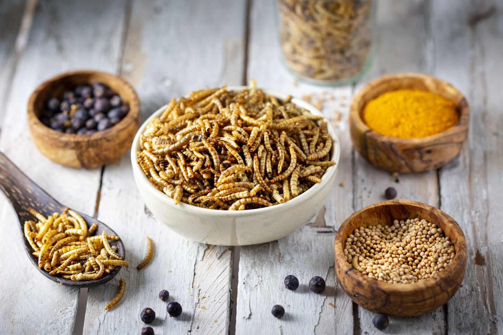 Mehlwürmer in einer Schüssel.